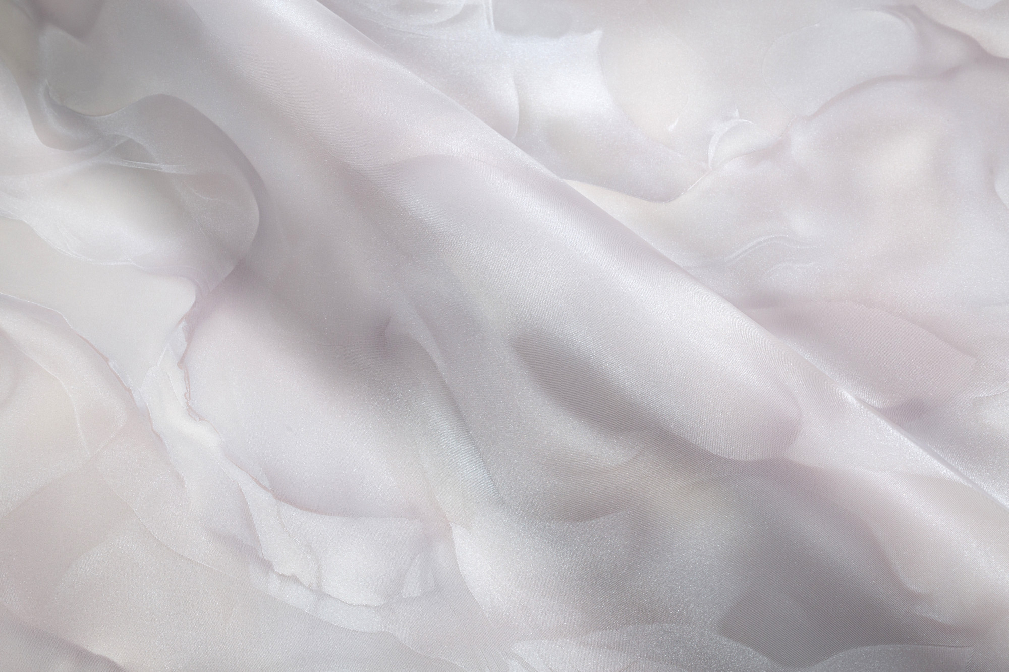 CAT_MACRO_PHOTOkI_HC72452-24_(5)