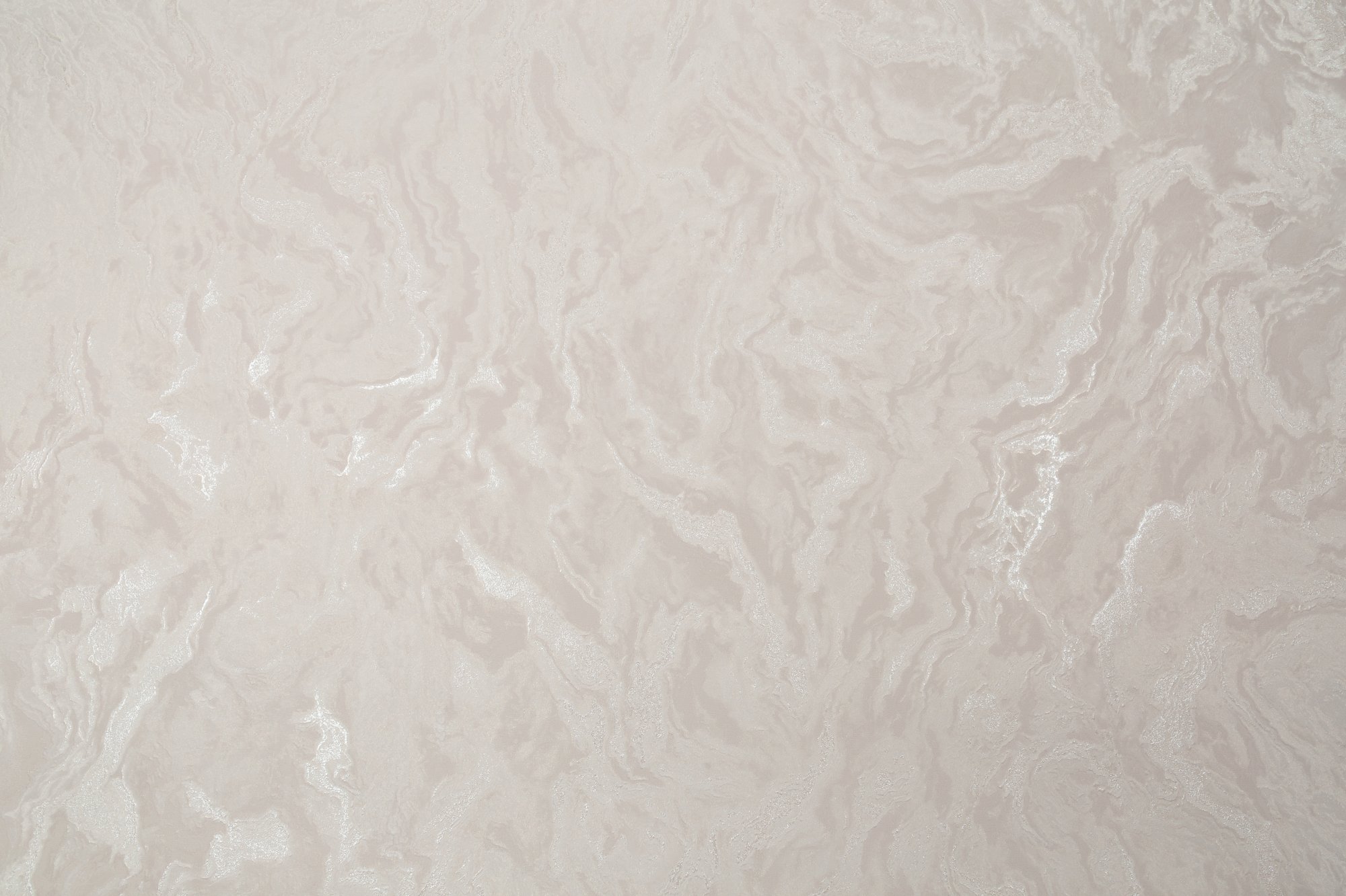 CAT_MACRO_PHOTOhI_PL72375-25_(1)