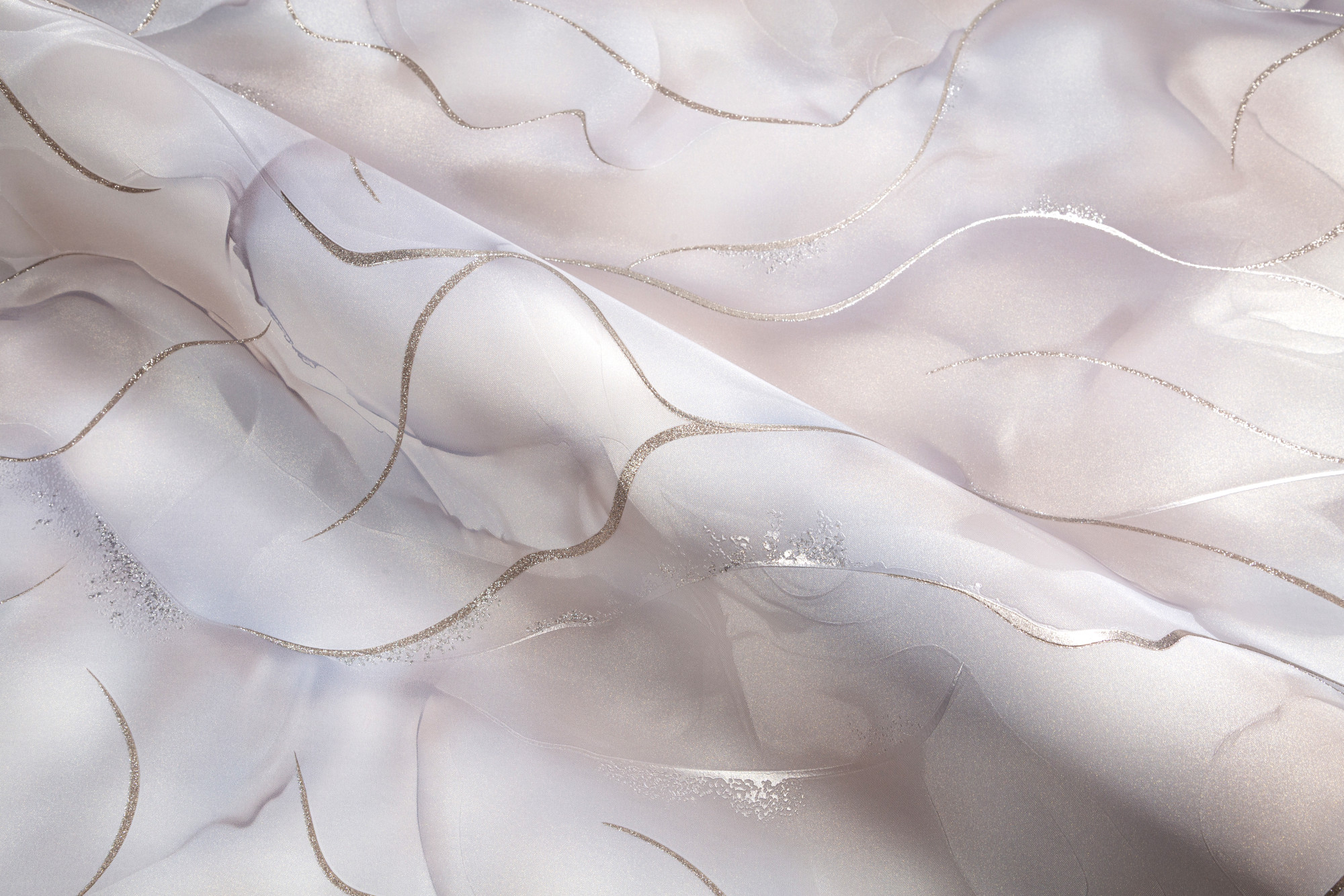 CAT_MACRO_PHOTOrI_HC72451-24_(5)