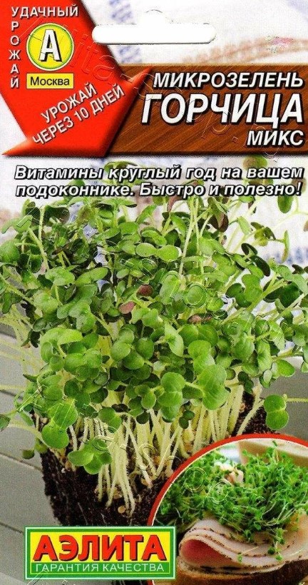 Снимок экрана 2023-12-13 095823