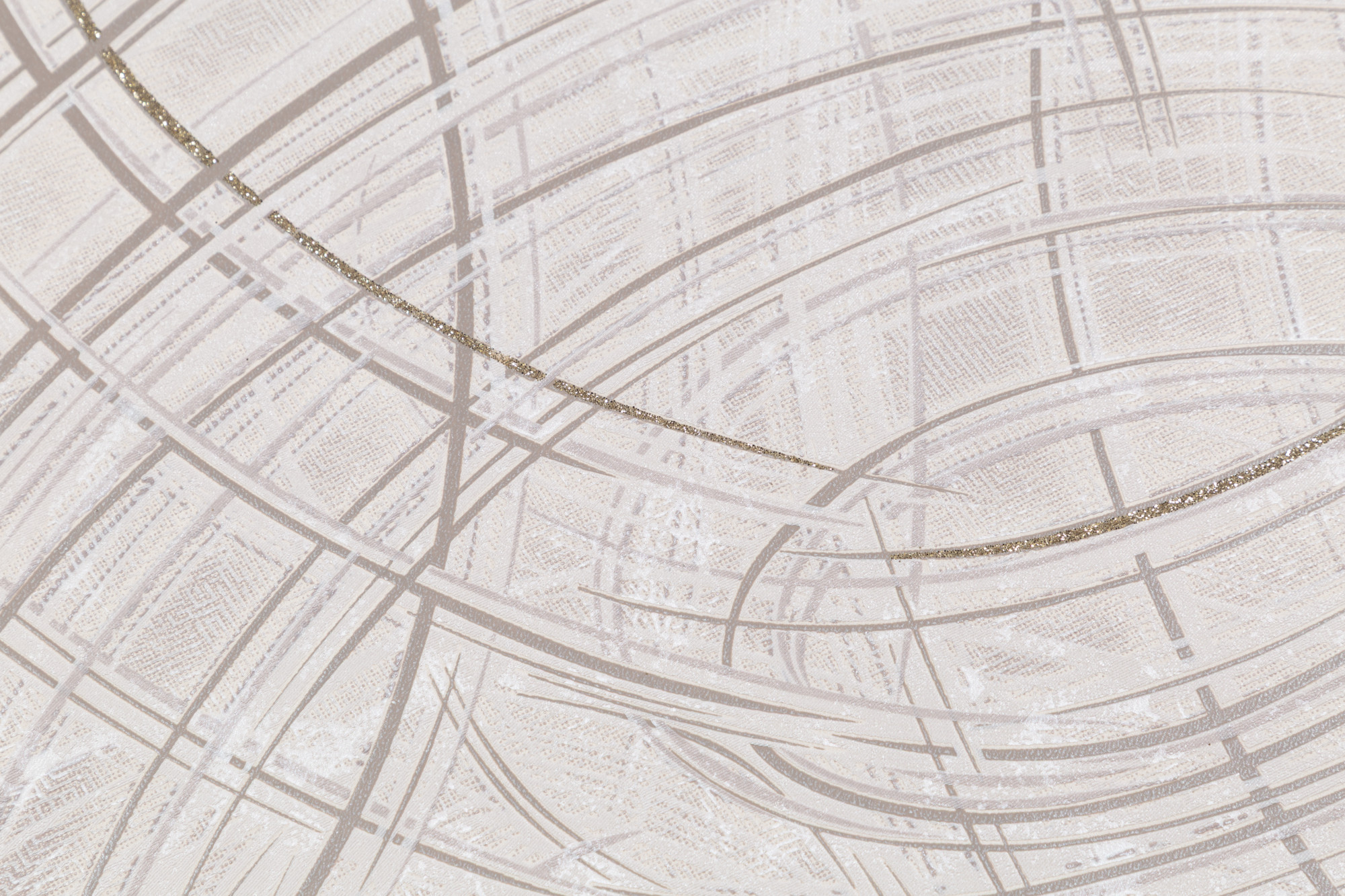 CAT_MACRO_PHOTOoI_PL81592-25_(2)