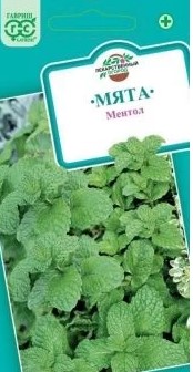 WhatsApp Image 2024-01-16 at 15.05.31