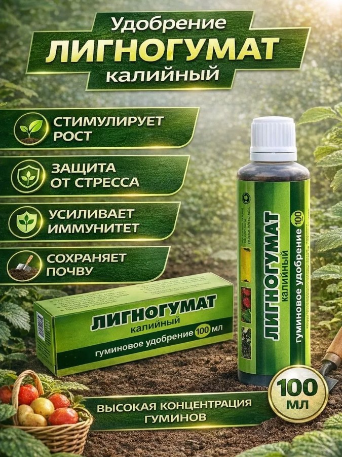 Снимок экрана 2026-04-06 150401