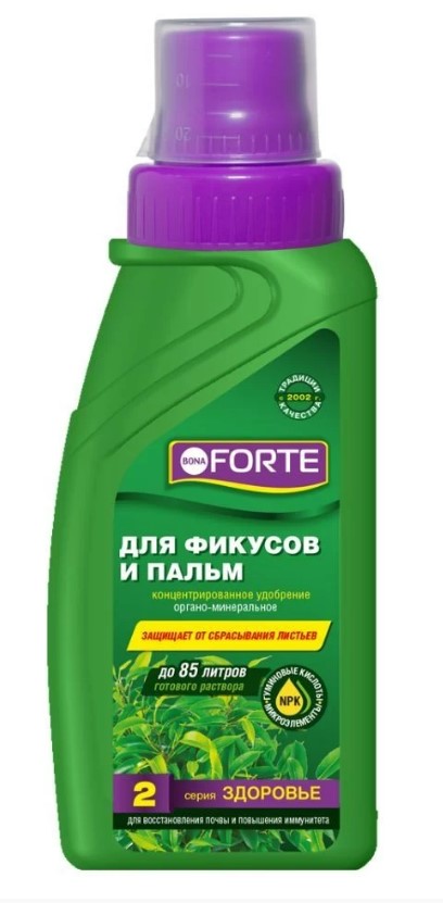 Снимок экрана 2026-10-14 154926