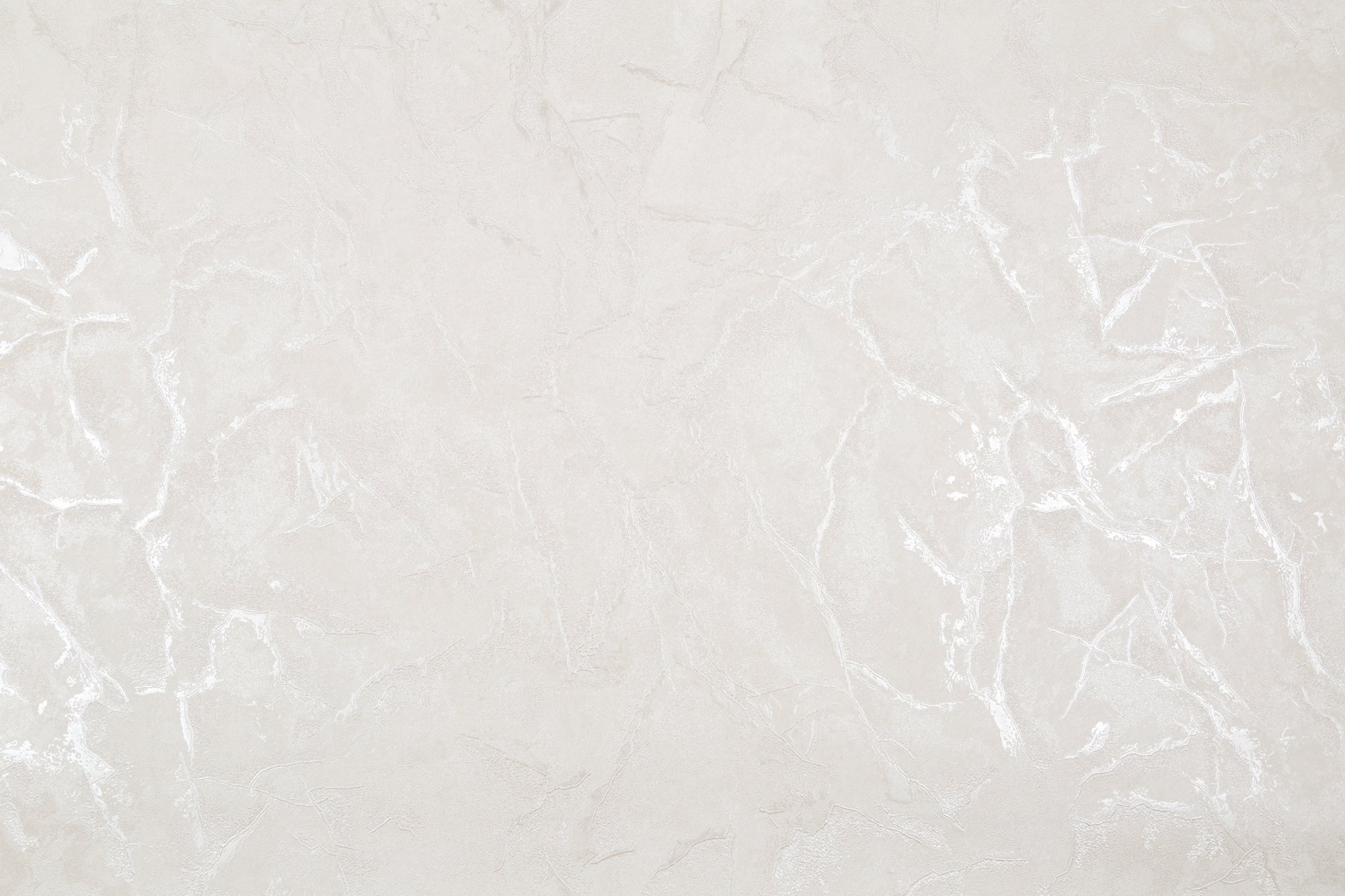 CAT_MACRO_PHOTOuI_SL72390-22_(1)