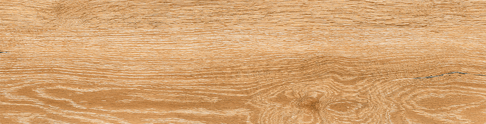 w5g1v6pnlcz3cmqj4punmly5gt4l24y3