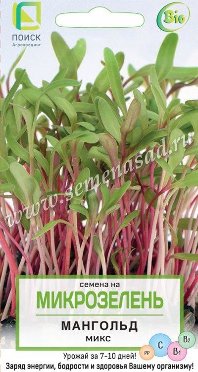 семена_на_микрозелень_мангольд_микс__цв__5гр_1.jpg