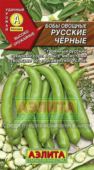 343971914_w640_h640_1