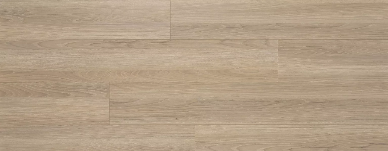 Annotation 2026-02-10 105511