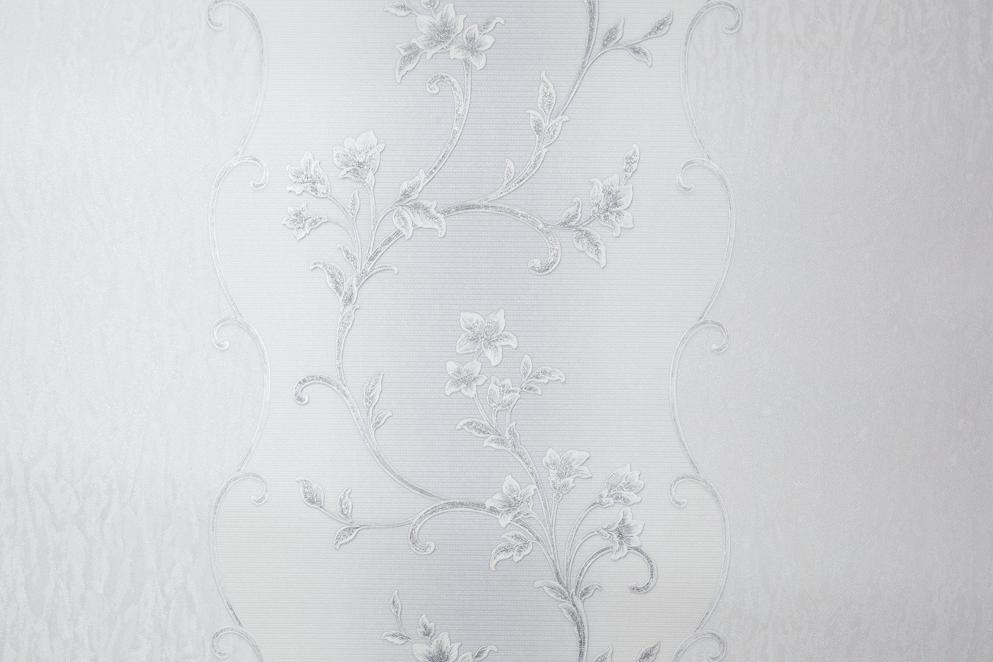 CAT_MACRO_PHOTOsI_HC31235-14_(1)