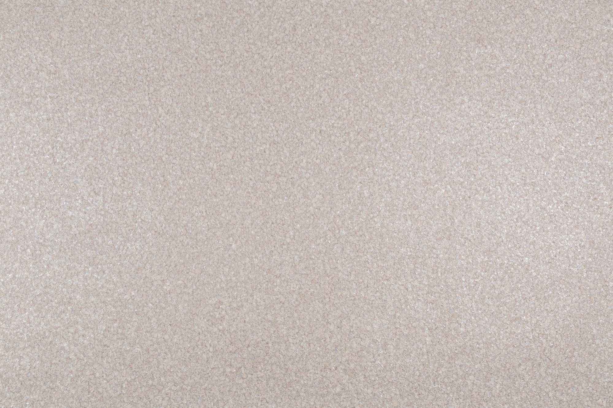 CAT_MACRO_PHOTOeI_PL72222-28_(1)