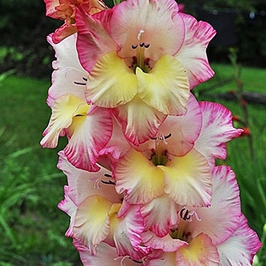 Снимок экрана 2025-02-18 092146