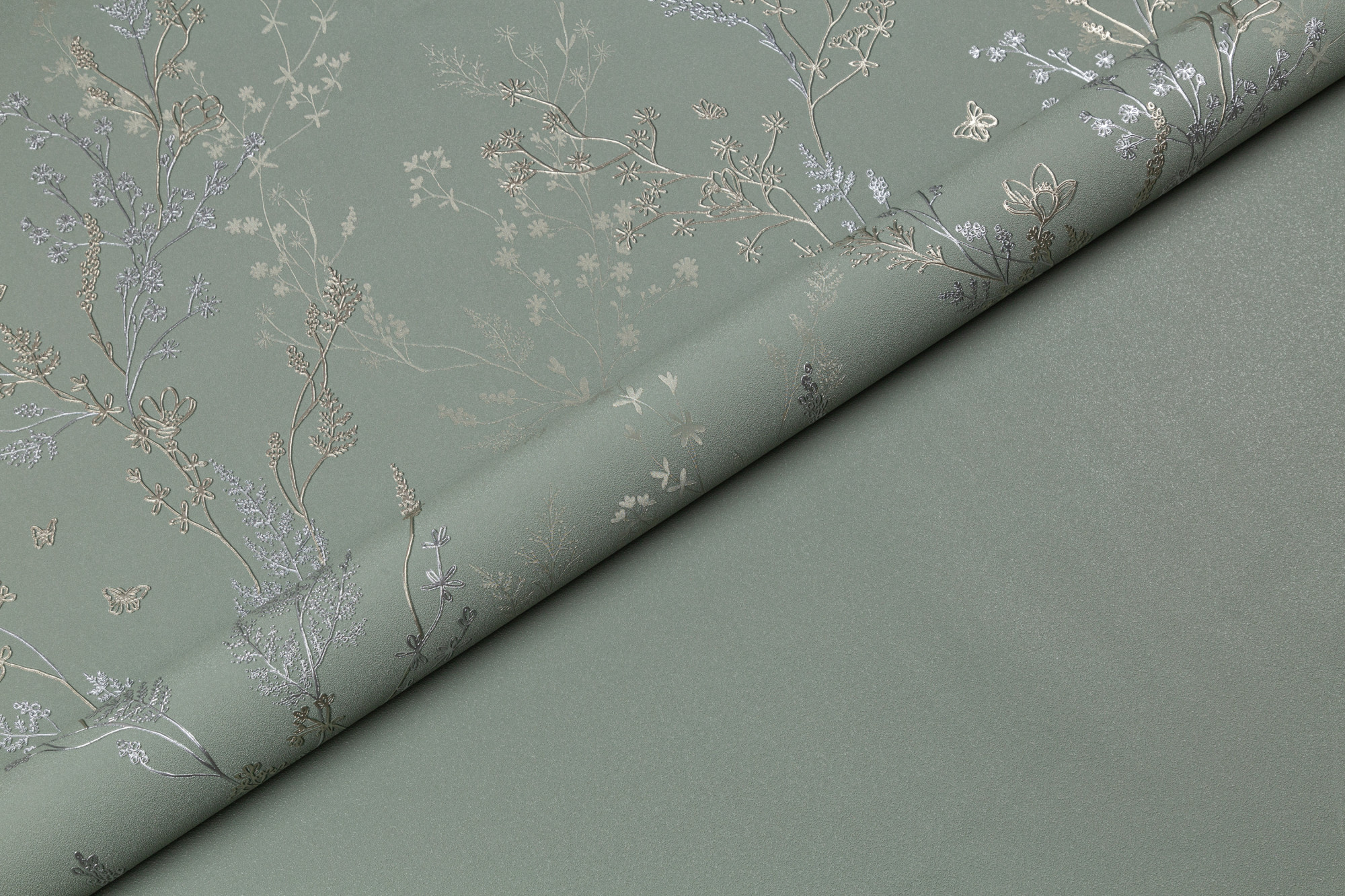 CAT_MACRO_PHOTOui_HC72414-74_(4)