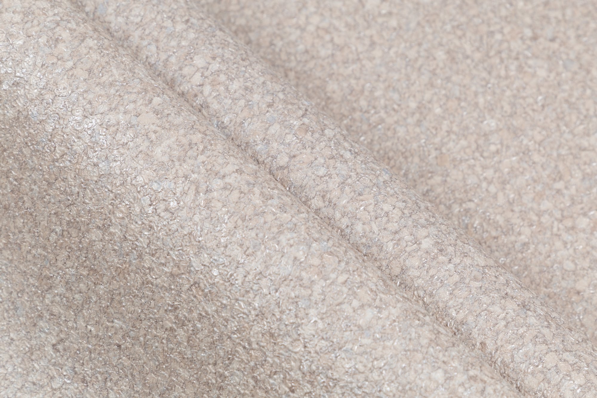 CAT_MACRO_PHOTOhI_PL72222-28_(7)