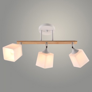 0040ac5d352d11ef8e89ac1f6b013bb9_f957d732d8c311ef8ea2ac1f6b013bb9.resize1 (1)