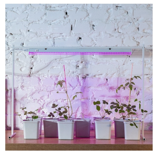 Снимок экрана_3-4-2025_135633_www.onlinetrade.ru