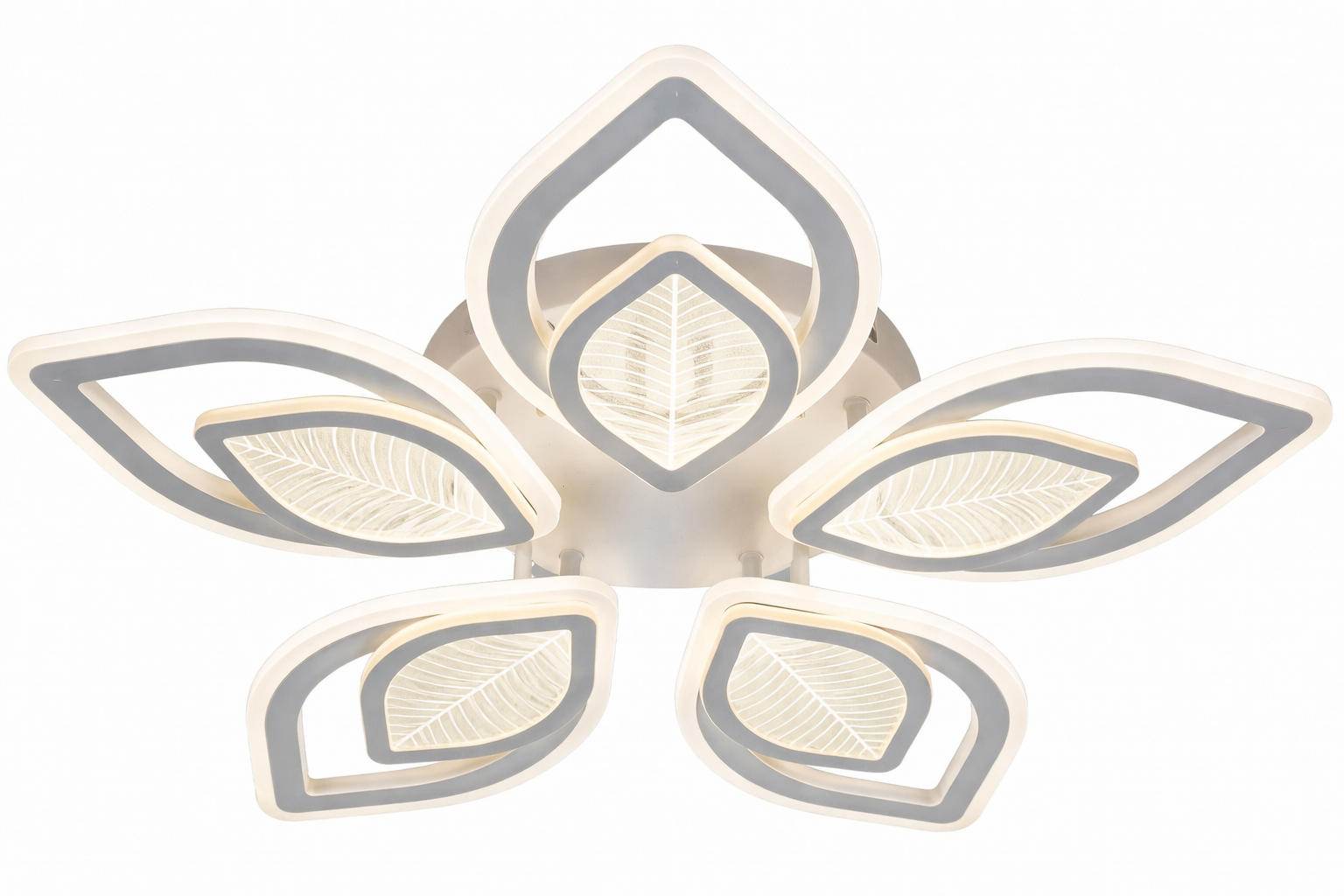 ChatGPT Image 24 февр. 2026 г., 10_21_42