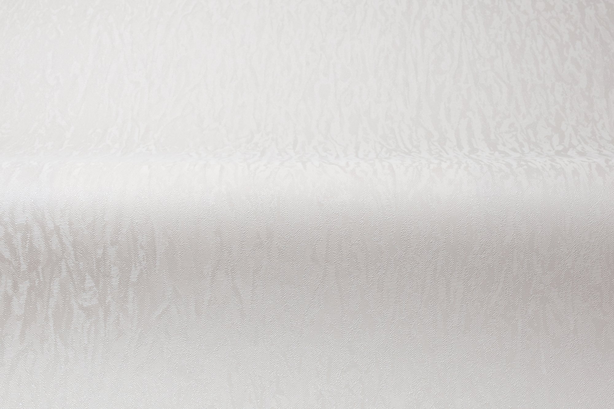 CAT_MACRO_PHOTOsI_HC31236-21_(3)