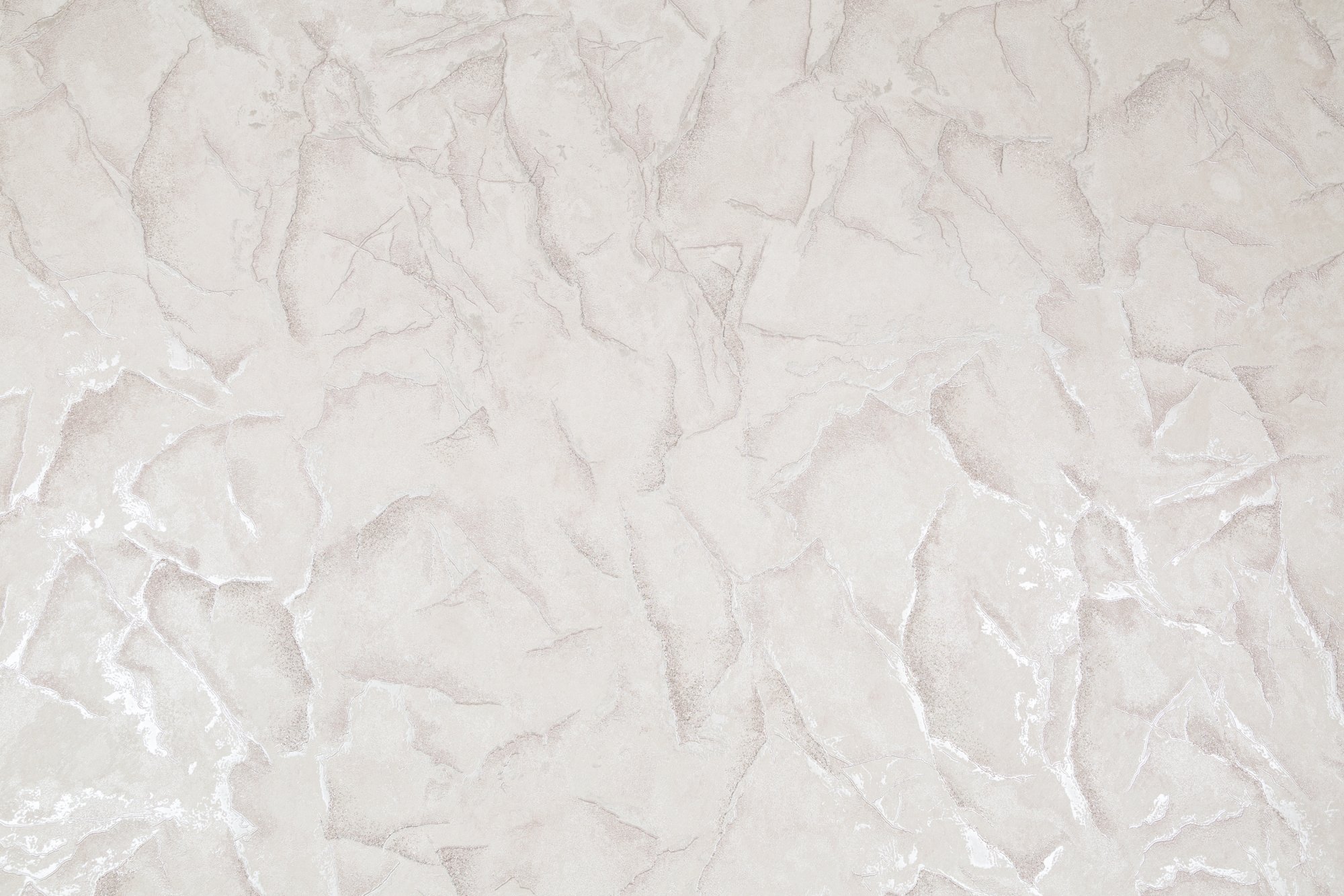 CAT_MACRO_PHOTObI_SL72389-22_(1)