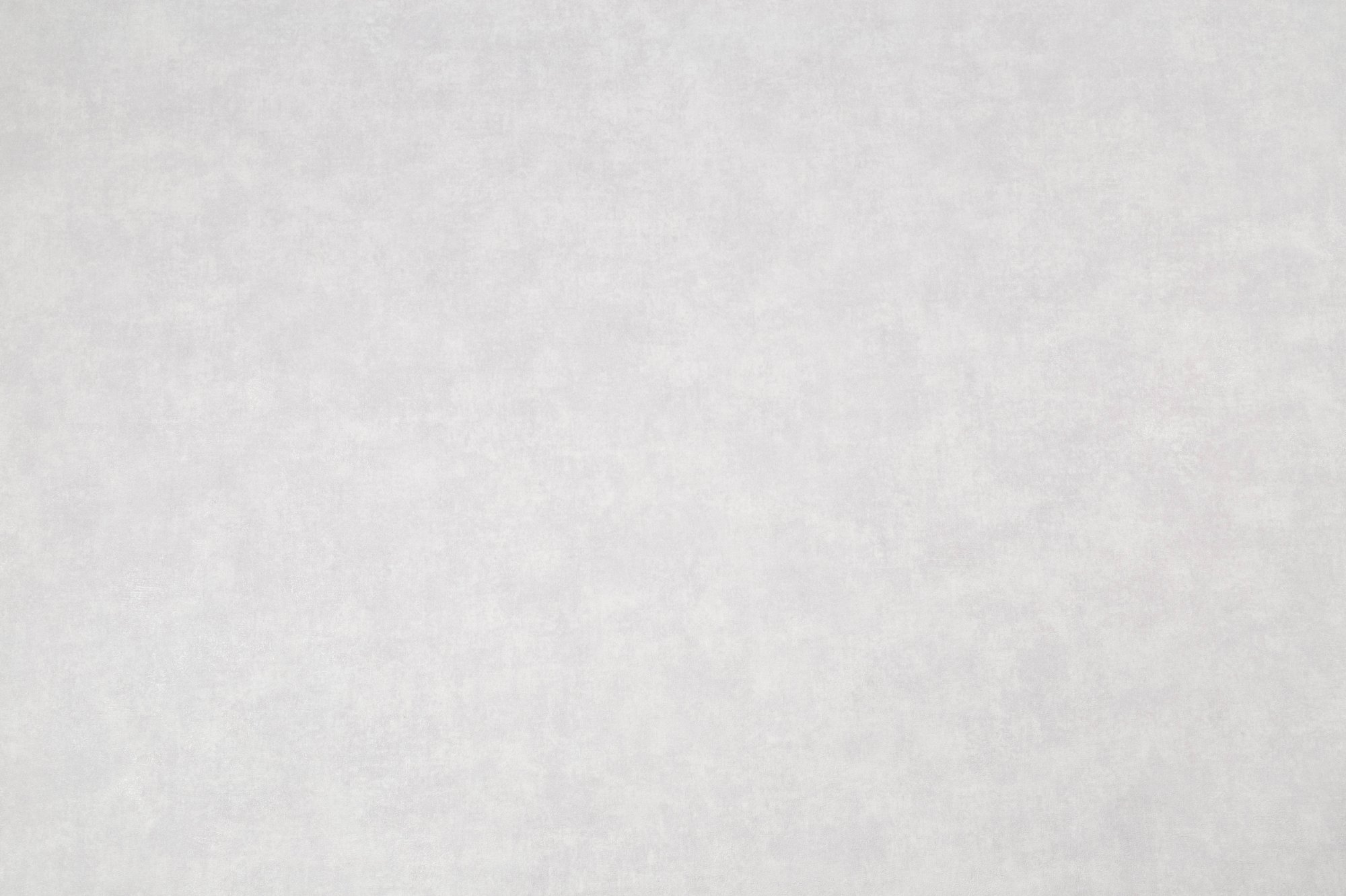 CAT_MACRO_PHOTOii_HC72317-24_(1)