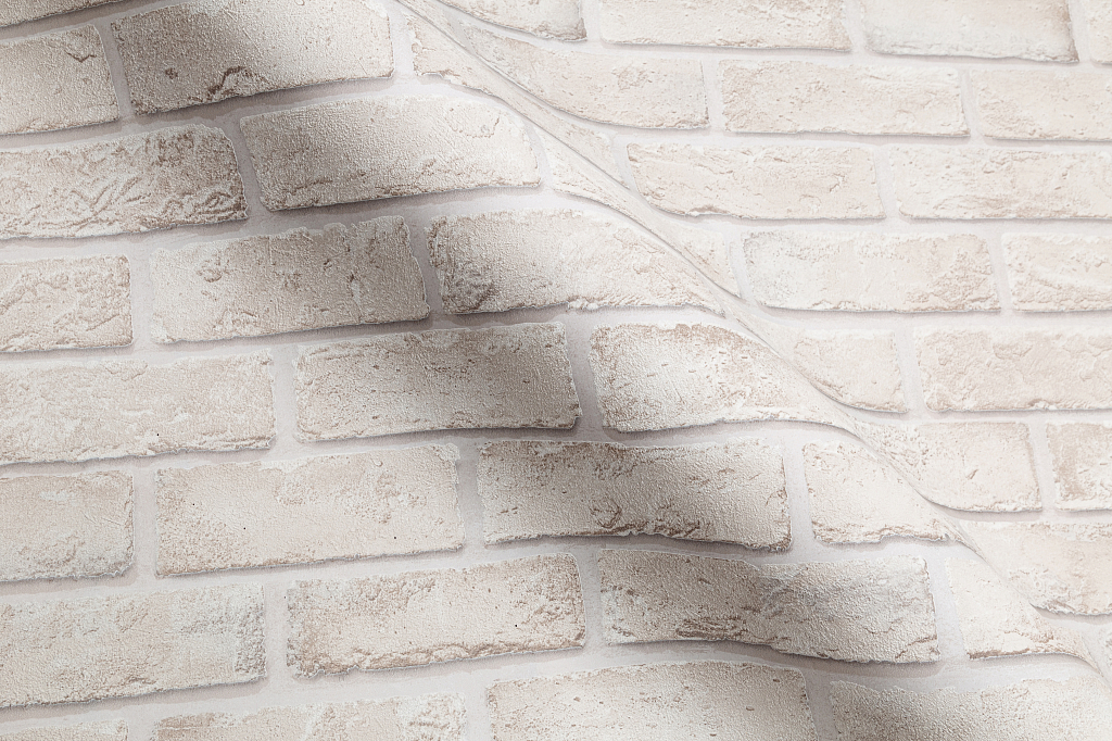 CAT_MACRO_PHOTOpIMG_SP71809-24_(4)