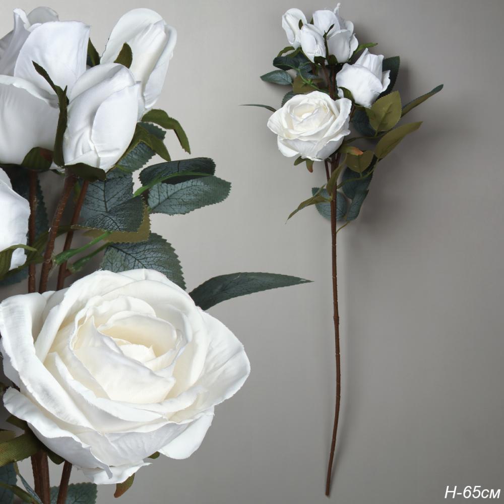 qpndw5z0qenf47t0k647b2td2g5o600y