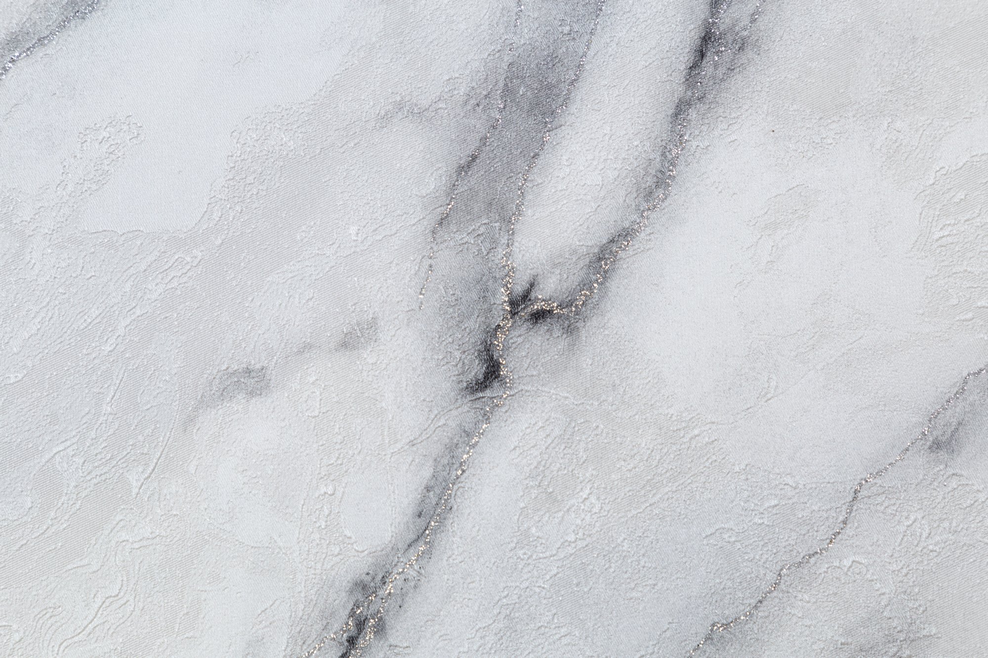 CAT_MACRO_PHOTOeI_HC72319-14_(3)