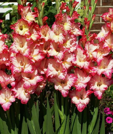 Снимок экрана 2025-02-18 092346