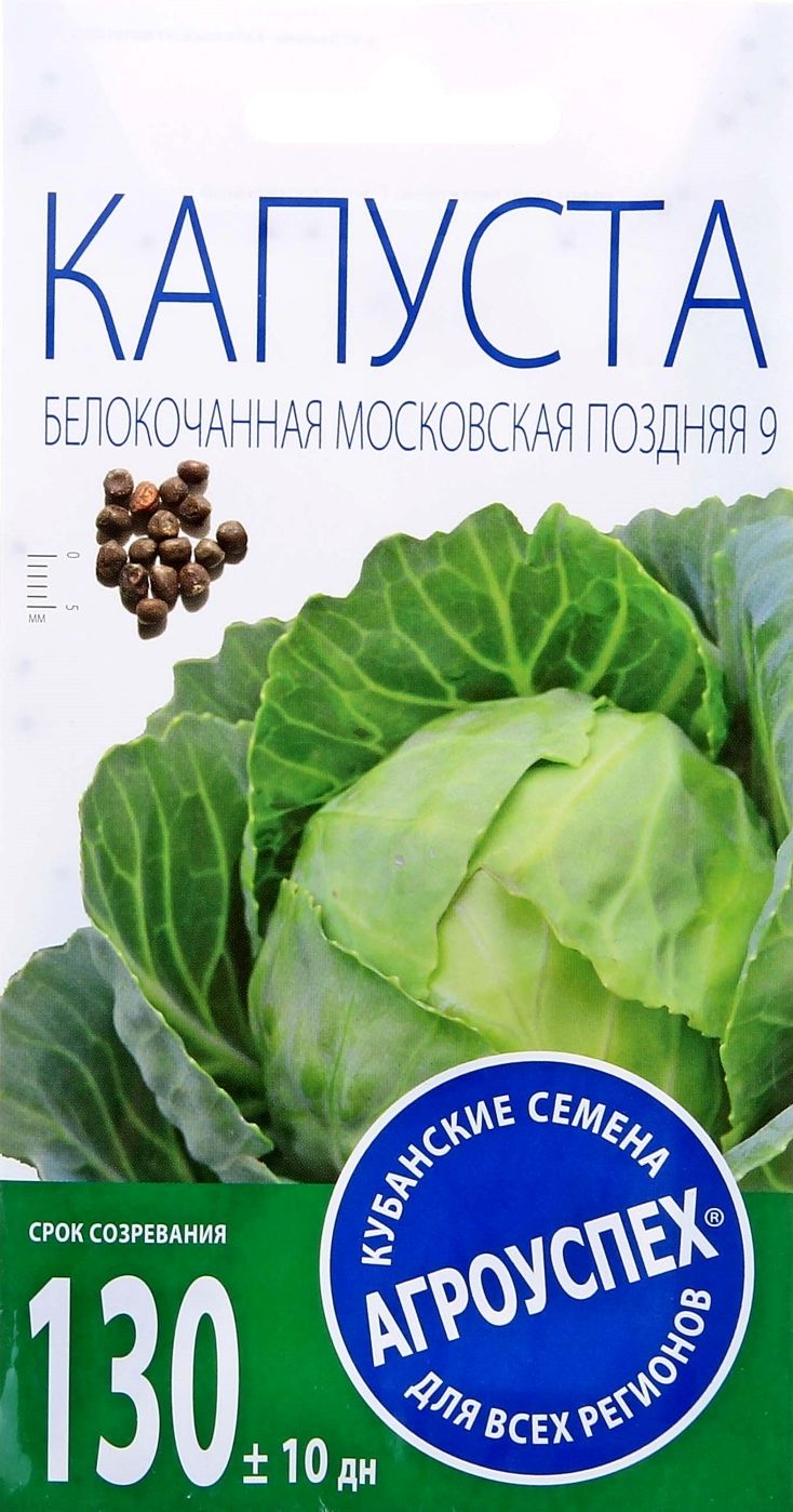 56199_2020-05-12_14-52-41