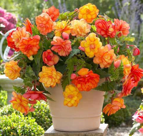 Снимок экрана 2025-02-18 084243