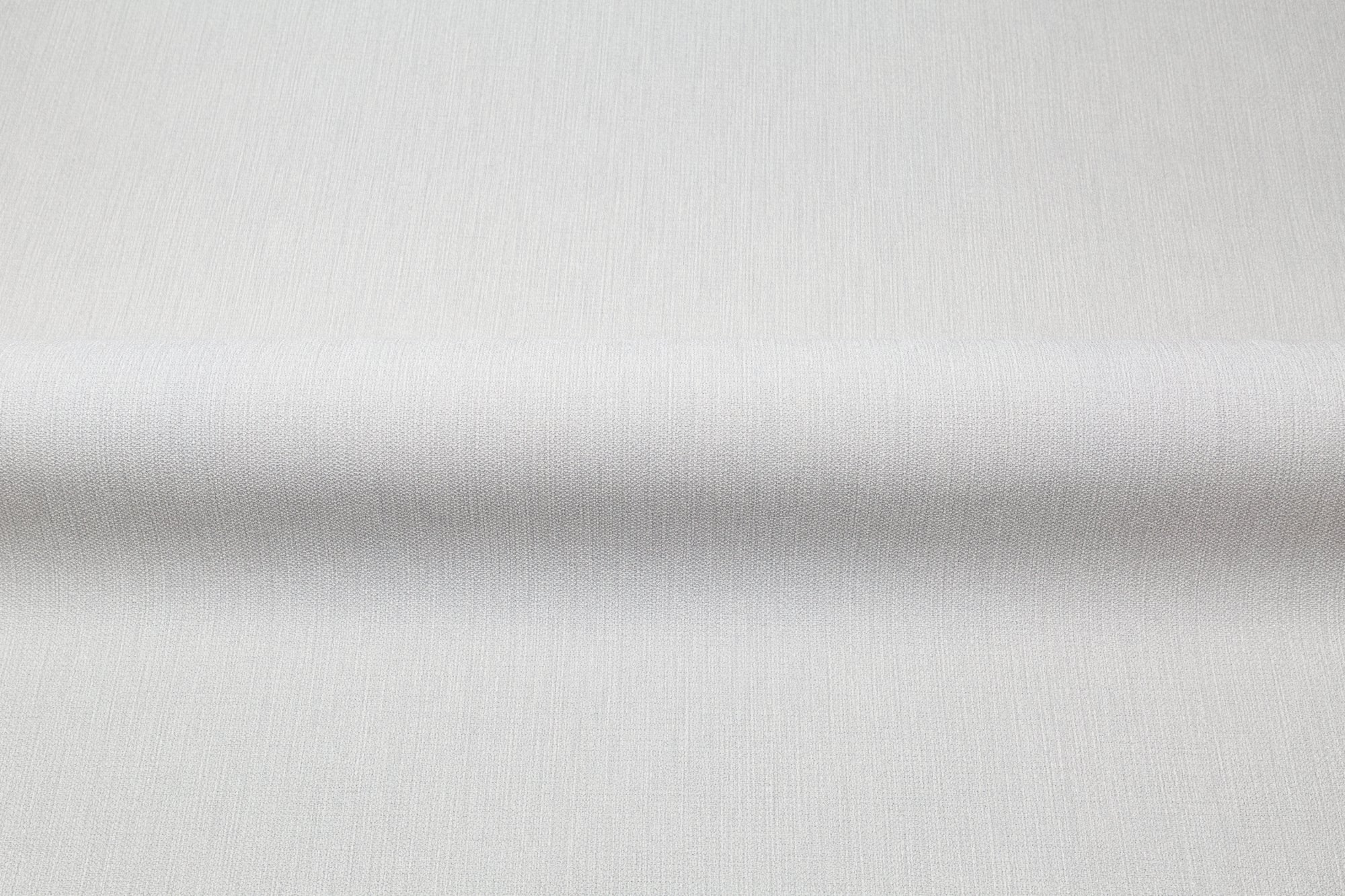 CAT_MACRO_PHOTOsI_PL72258-40_(4)