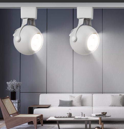 Снимок экрана_4-3-2025_14215_era-svet.ru