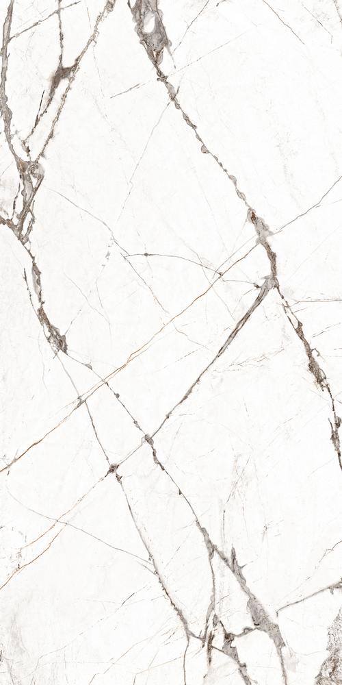 9qgf70kxdyku7we499l8megdd5hacyj5