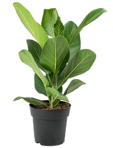 Снимок экрана 2025-02-07 090443