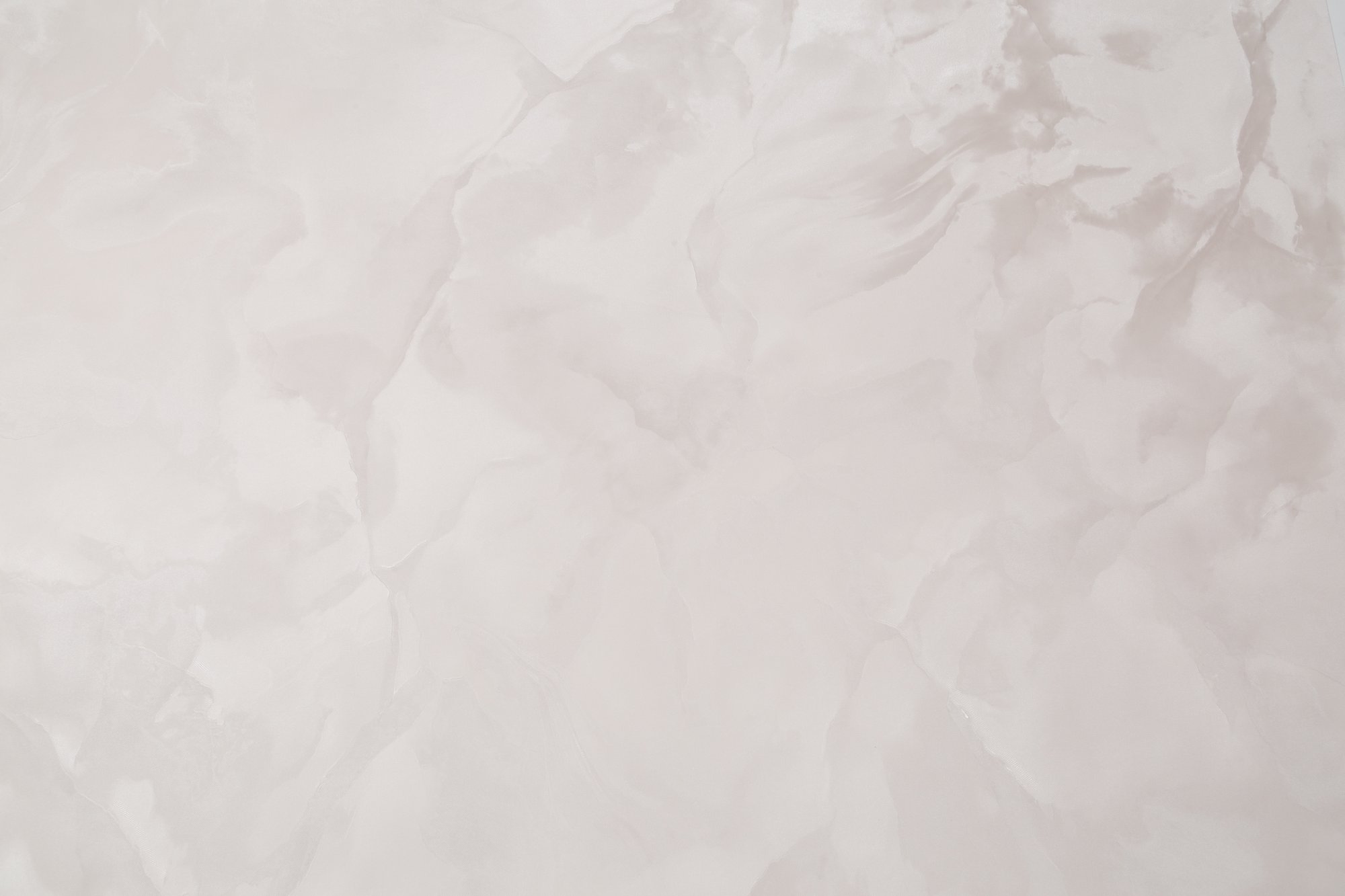 CAT_MACRO_PHOTOsI_HC72371-22_(1)