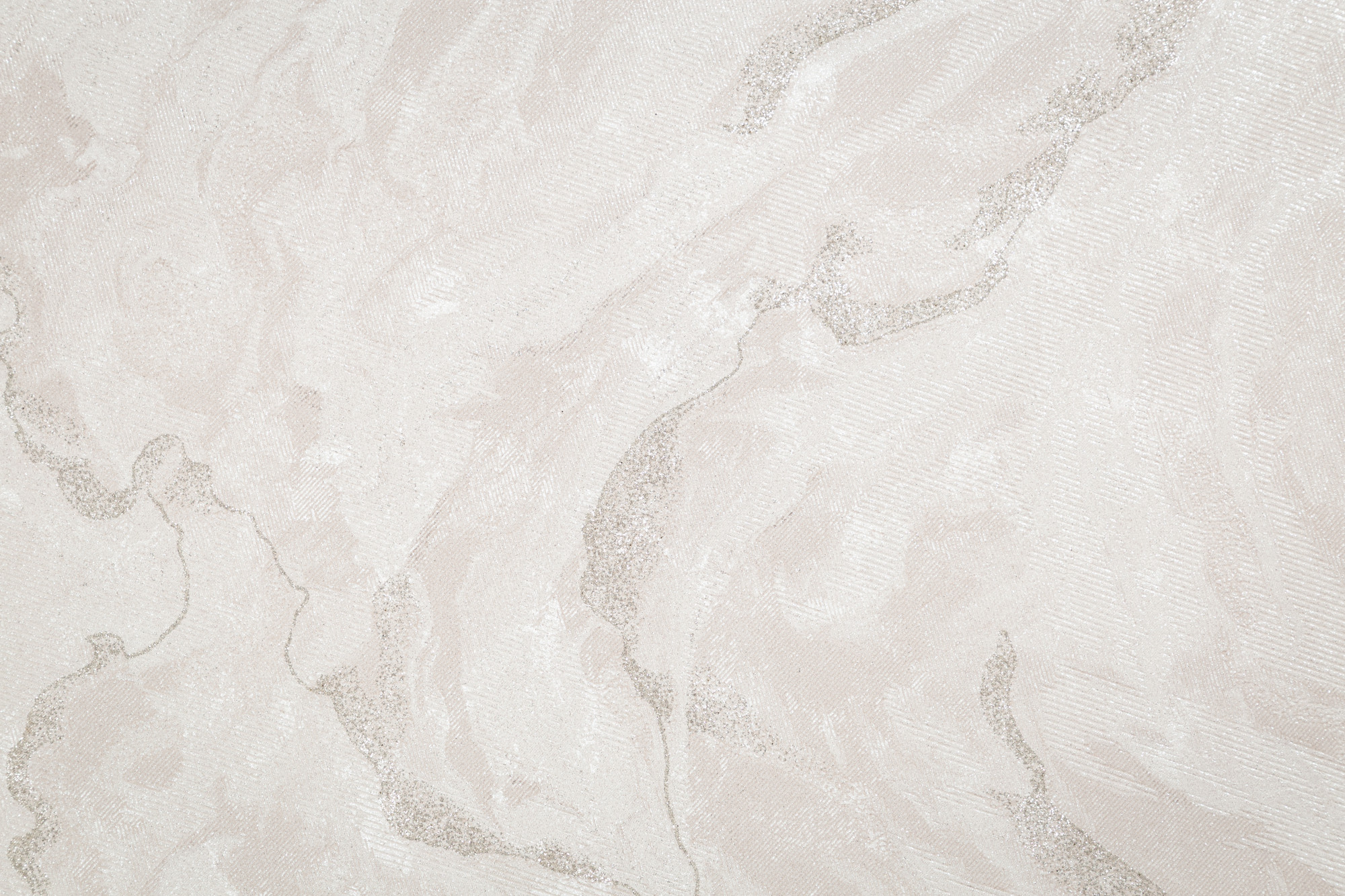 CAT_MACRO_PHOTOoI_HC72428-21_(2)