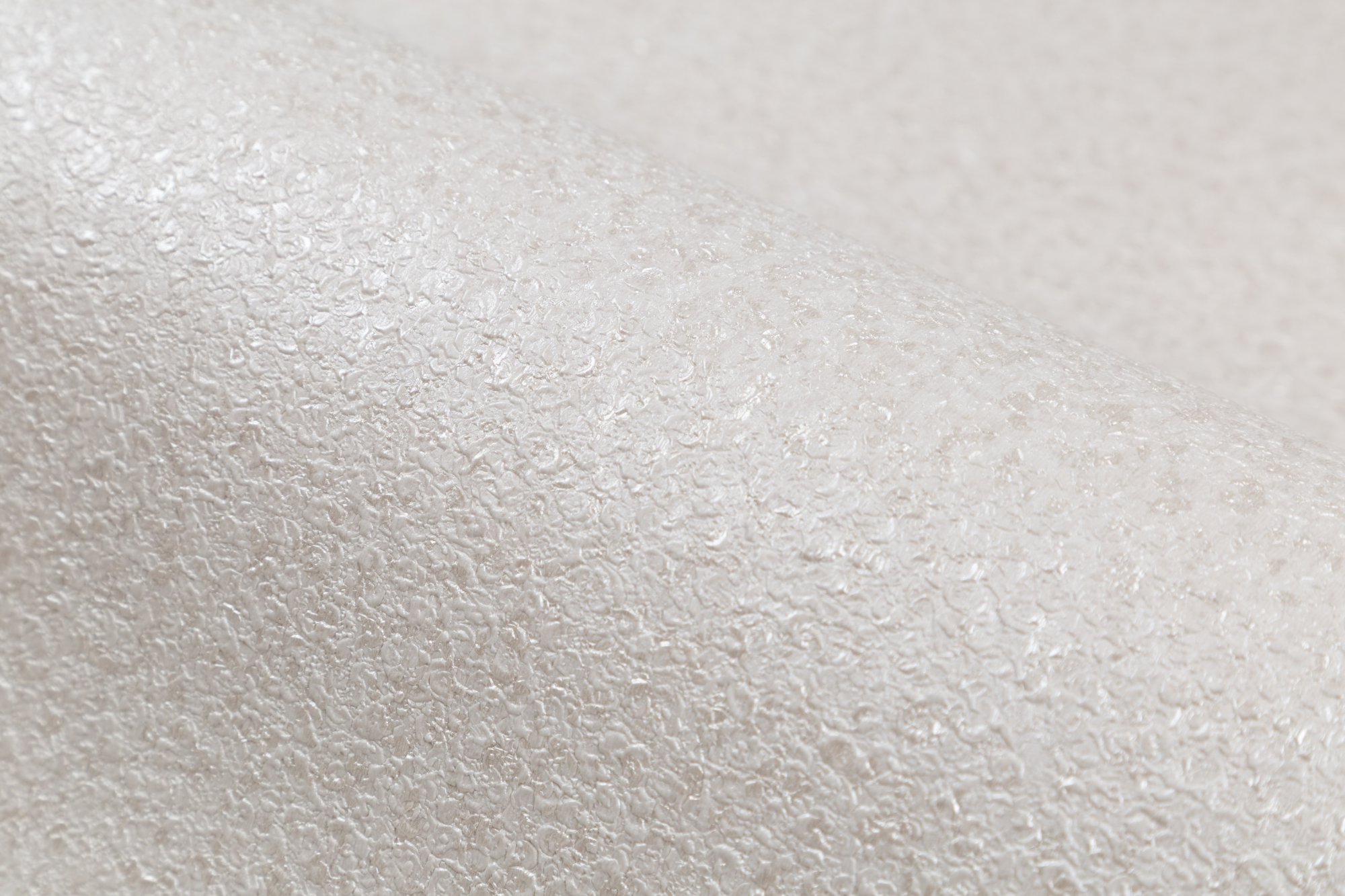 CAT_MACRO_PHOTOuI_PL72222-12_(4)