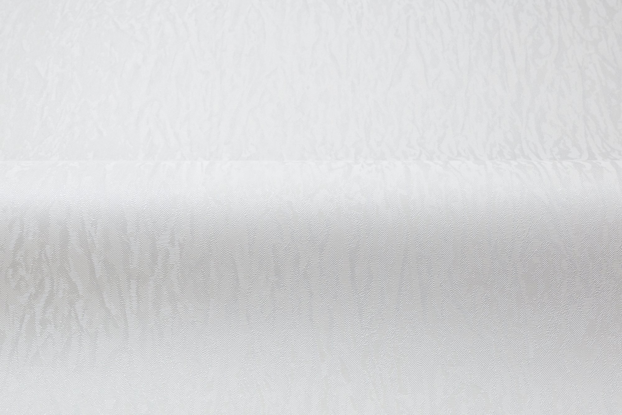 CAT_MACRO_PHOTOeI_HC31236-14_(3)