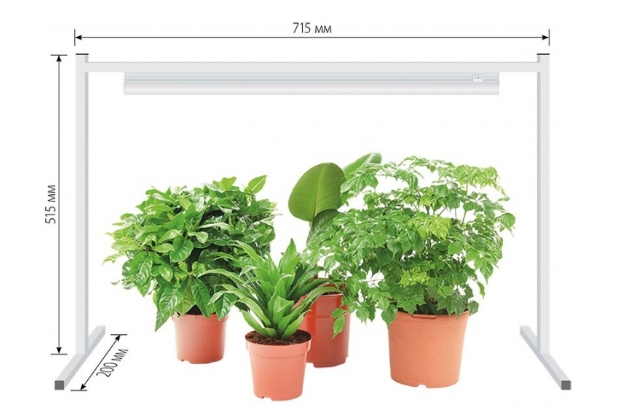 Снимок экрана_3-4-2025_13578_www.onlinetrade.ru