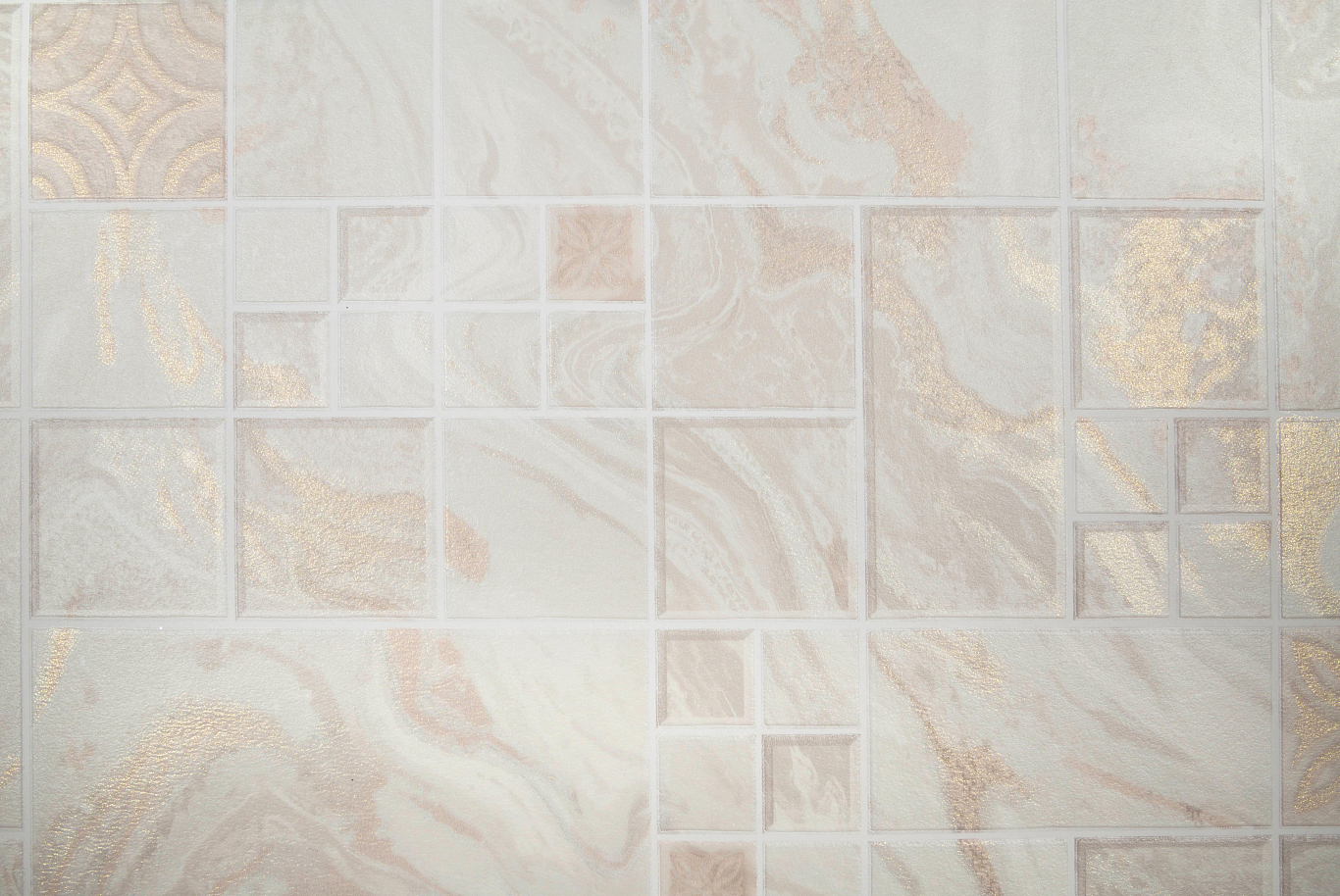 CAT_MACRO_PHOTOaI_HC11047-12_(1)