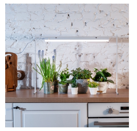 Снимок экрана_3-4-2025_135623_www.onlinetrade.ru