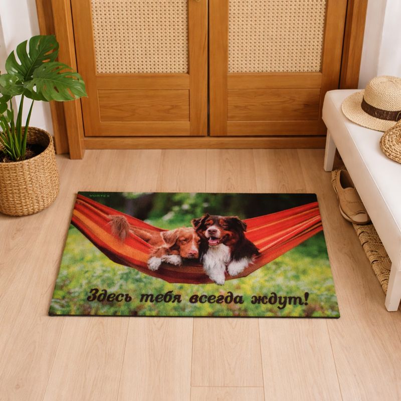 ChatGPT Image 21 янв. 2026 г., 11_39_43