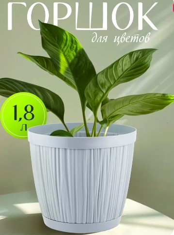 Снимок экрана 2024-11-06 150934-утрен