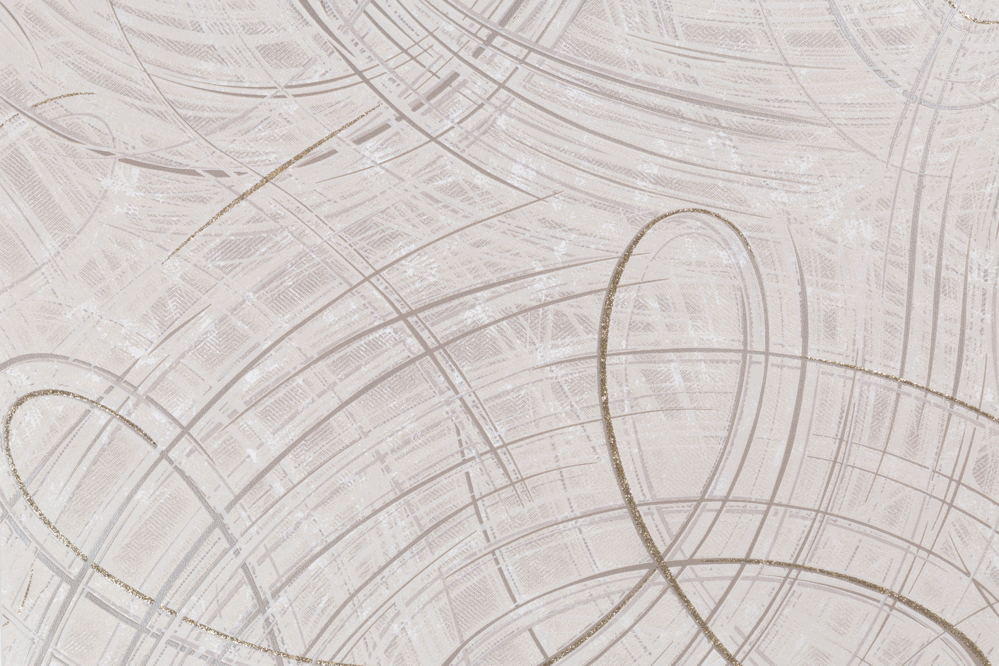 CAT_MACRO_PHOTOeI_PL81592-25_(1)