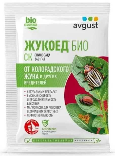 Снимок экрана 2026-07-08 152556