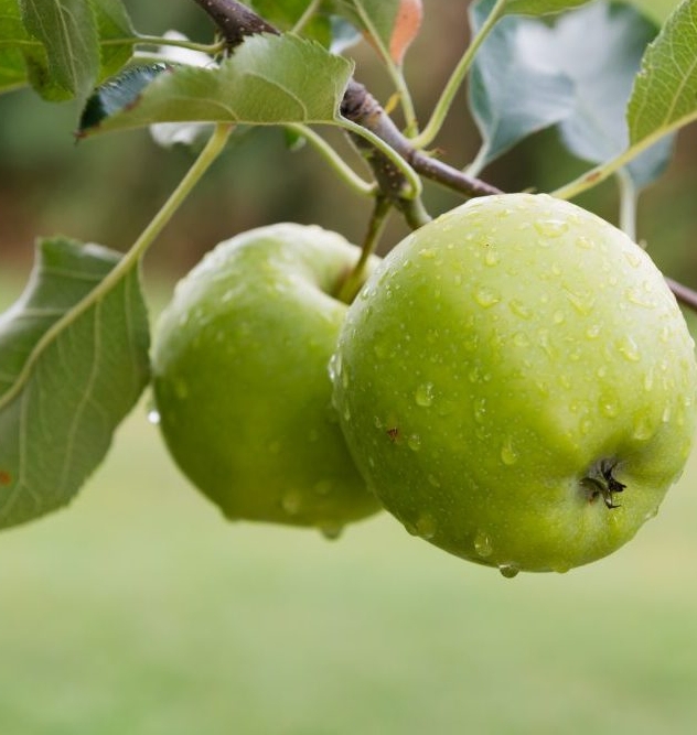 Снимок экрана_5-5-2025_153256_kazan.megastroy.com