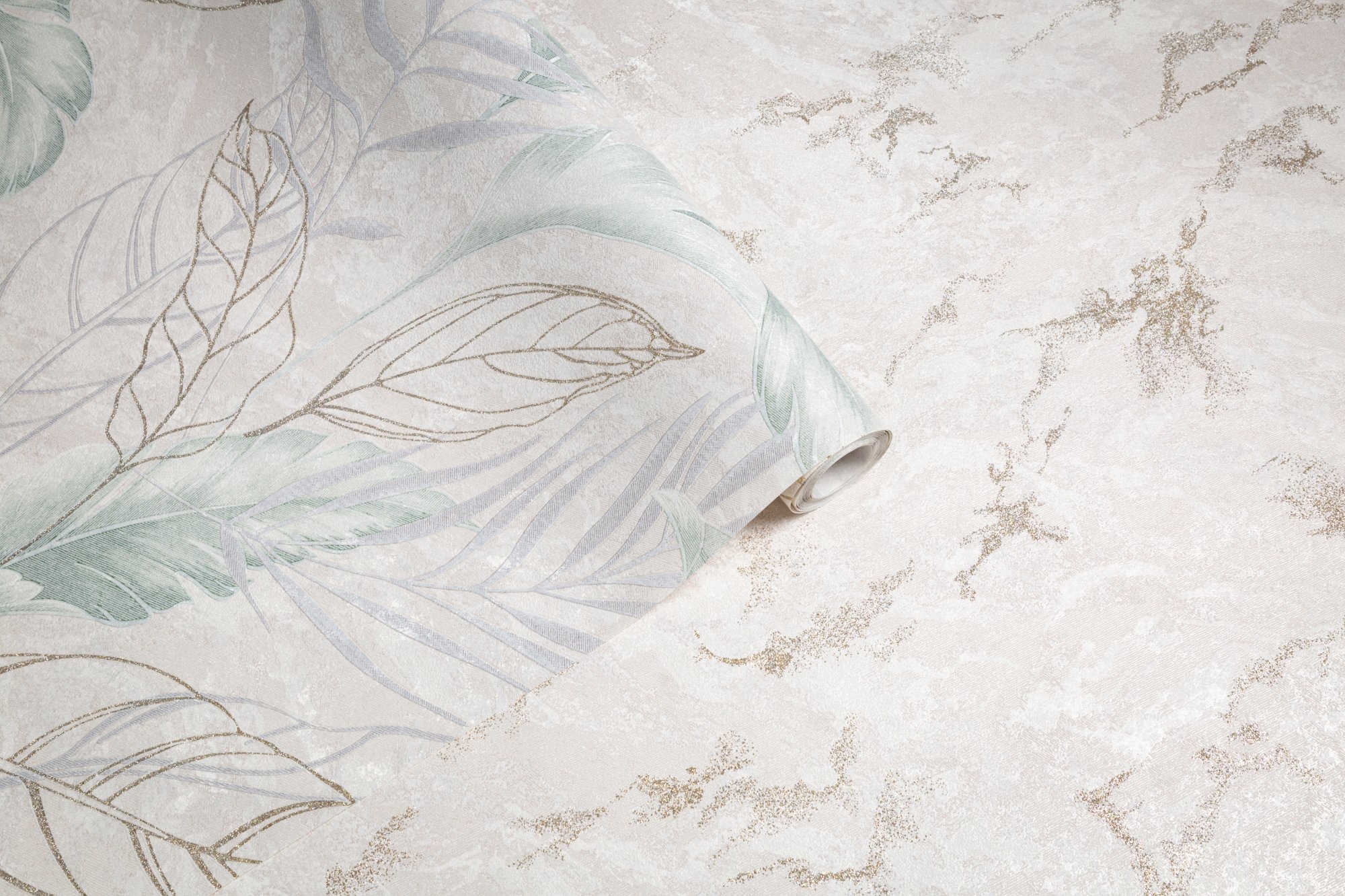 CAT_MACRO_PHOTOmI_HC72437-27vHC72438-27_(1)