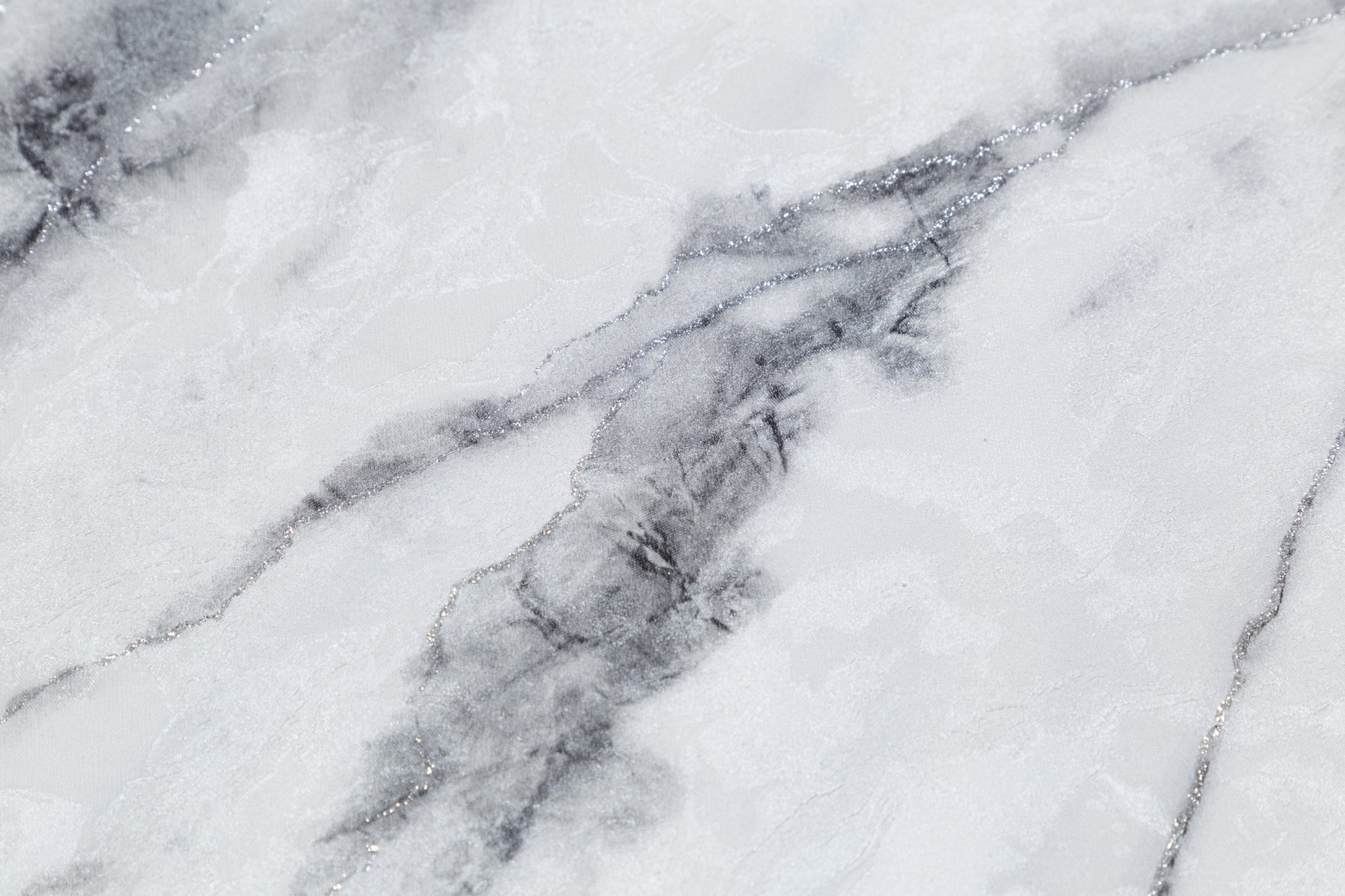 CAT_MACRO_PHOTOtI_HC72319-14_(2)