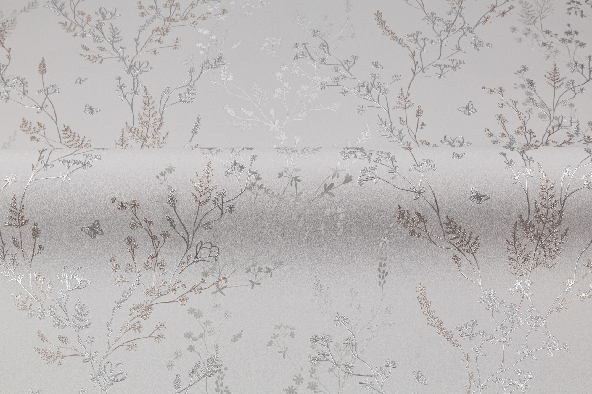 CAT_MACRO_PHOTOwI_HC72414-47_(8)