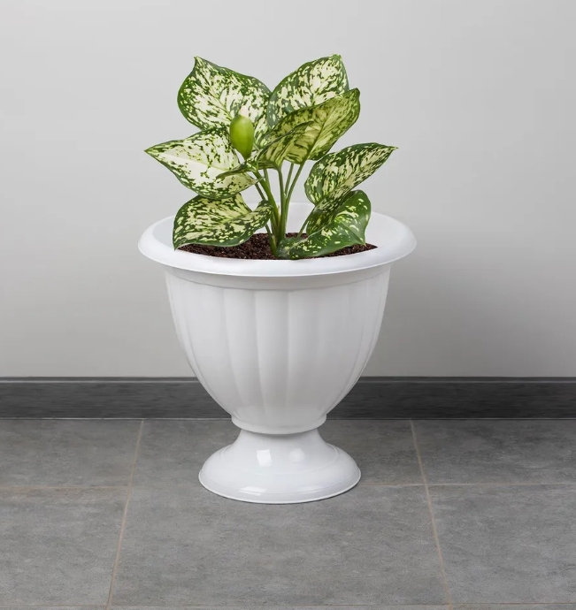 Снимок экрана_25-6-2025_135717_www.ozon.ru